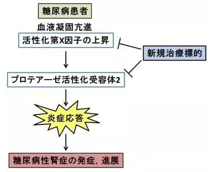 赴日就醫(yī)，厚樸方舟