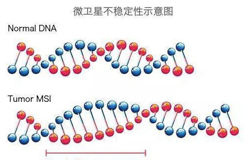 癌癥可以遺傳