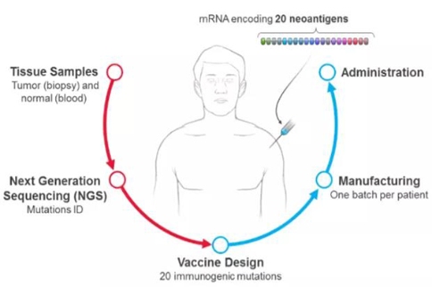 個(gè)體化腫瘤疫苗生產(chǎn)