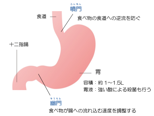 早期胃癌