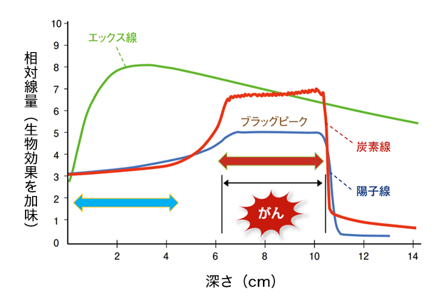 日本QST醫(yī)院