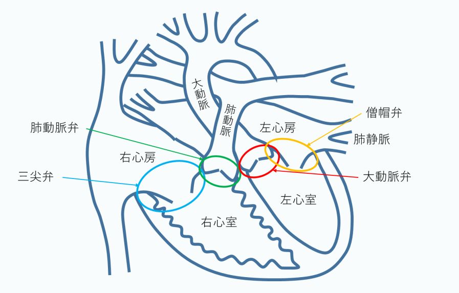 冠心病心臟康復(fù)治療