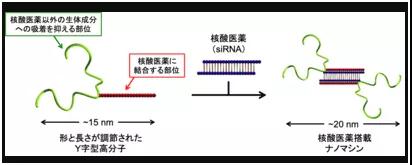 癌癥治療