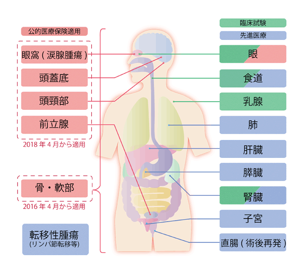 重離子治療適應(yīng)癥