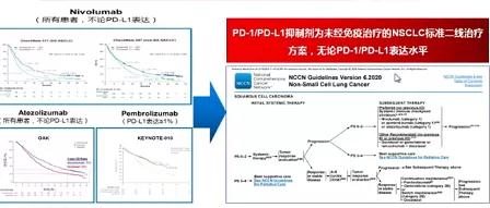 肺癌免疫治療