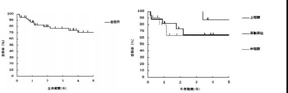 鼻咽癌質(zhì)子治療