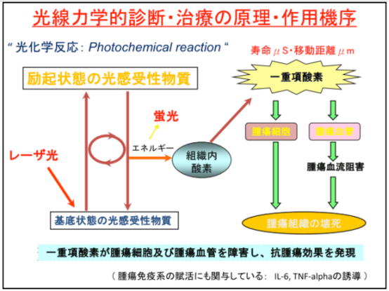 光動力治療方法