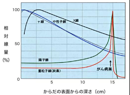 質(zhì)子重離子治療肺癌