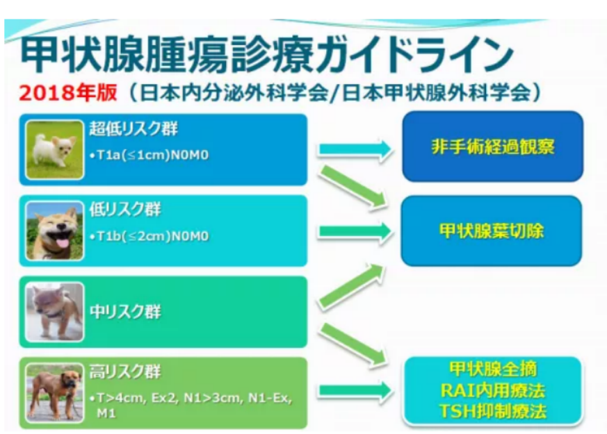 美國(guó)看病甲狀腺癌治療